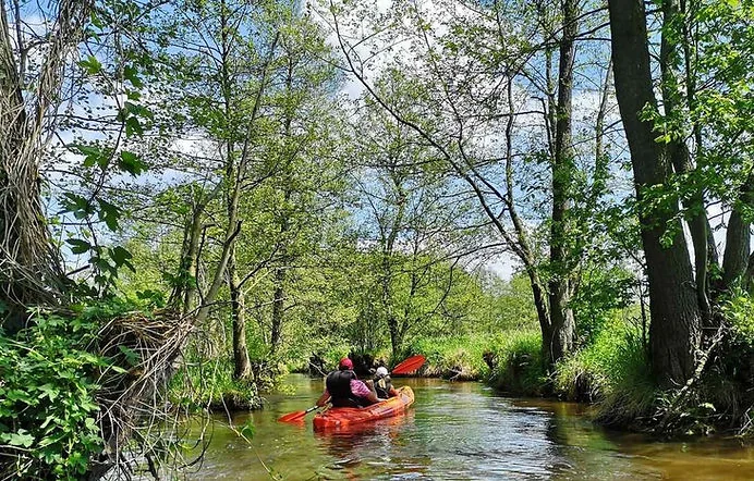 Kajakarze na trasie rzeką Pilicą